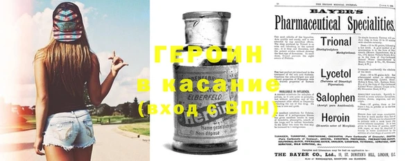 индика Чегем
