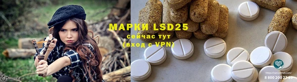 индика Чегем