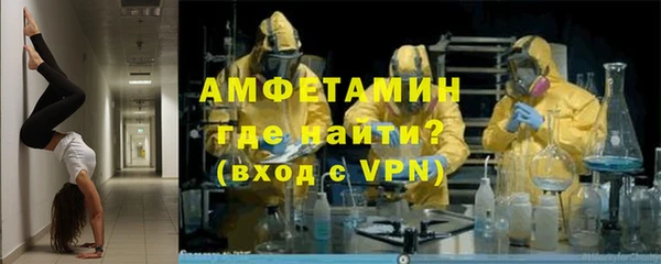 индика Чегем