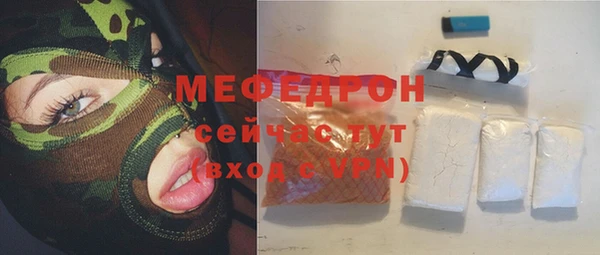 индика Чегем