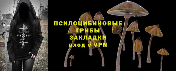 индика Чегем