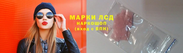 индика Чегем