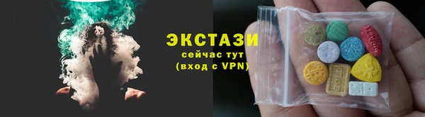 индика Чегем