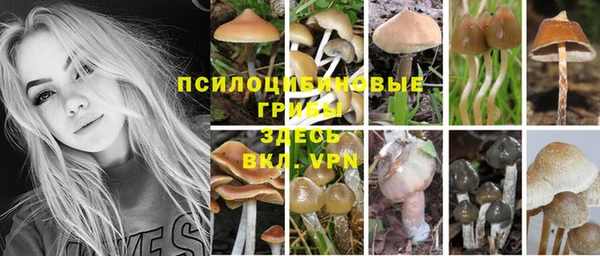 первитин Чердынь