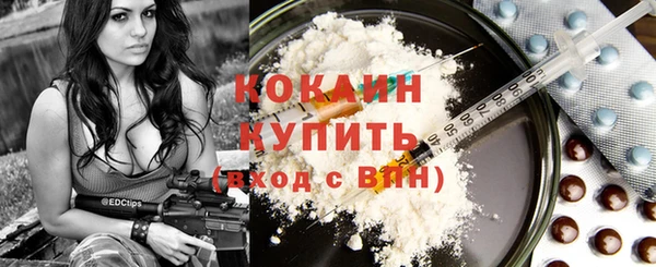 индика Чегем