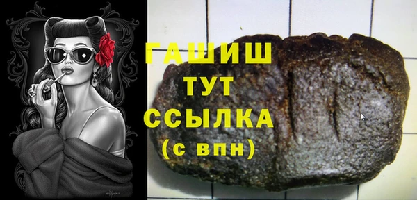 индика Чегем