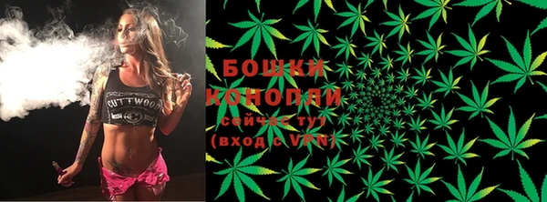 индика Чегем
