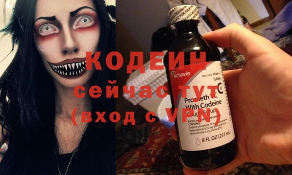 индика Чегем