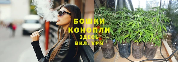 индика Чегем